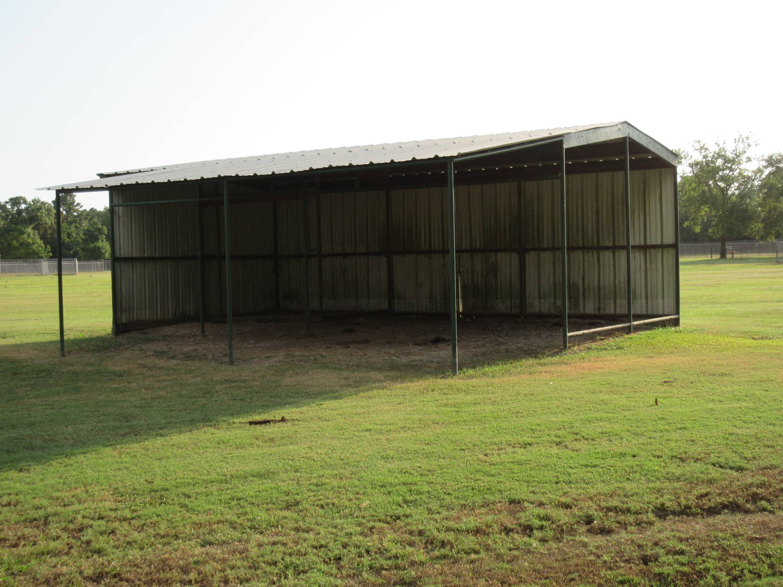 American Bison Exhibit - Shelter