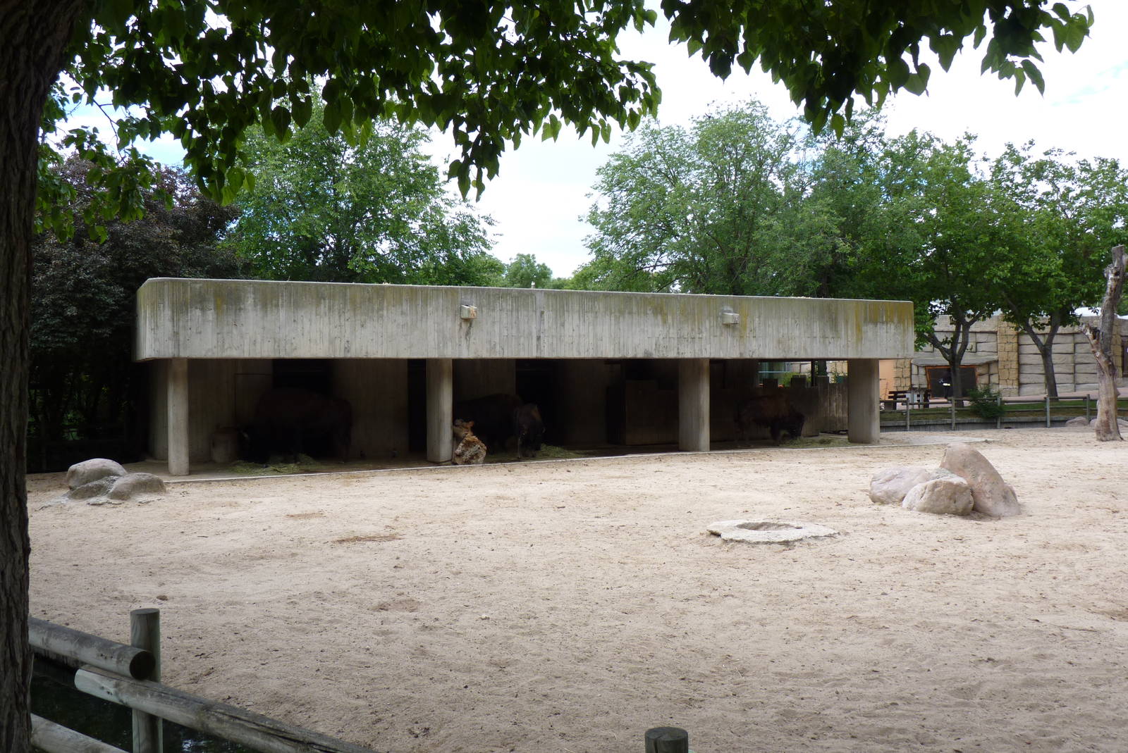 American Bison House, June 2103