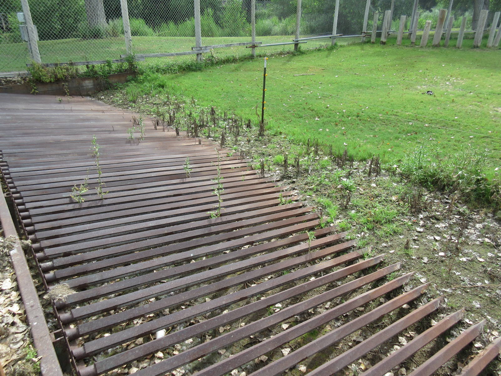 American Bison/Mule Deer Exhibit - Standoff Barrier