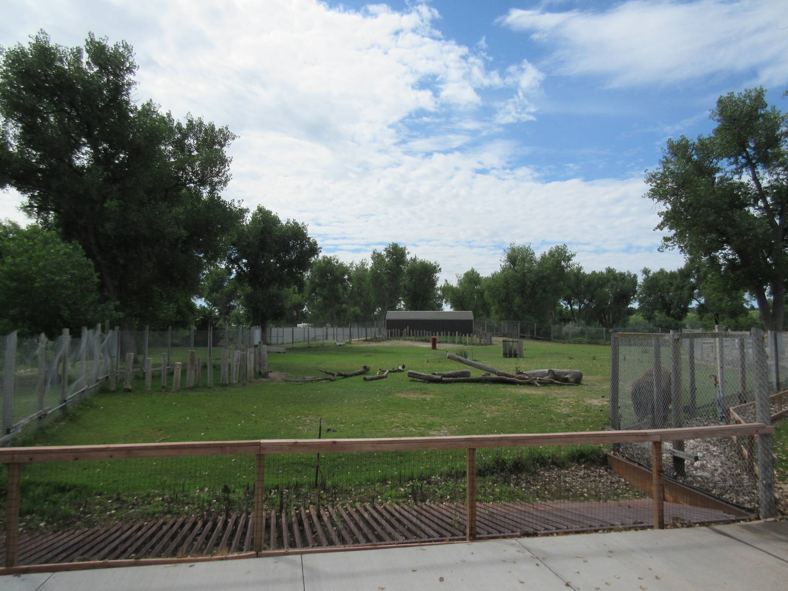 American Bison/Mule Deer Exhibit