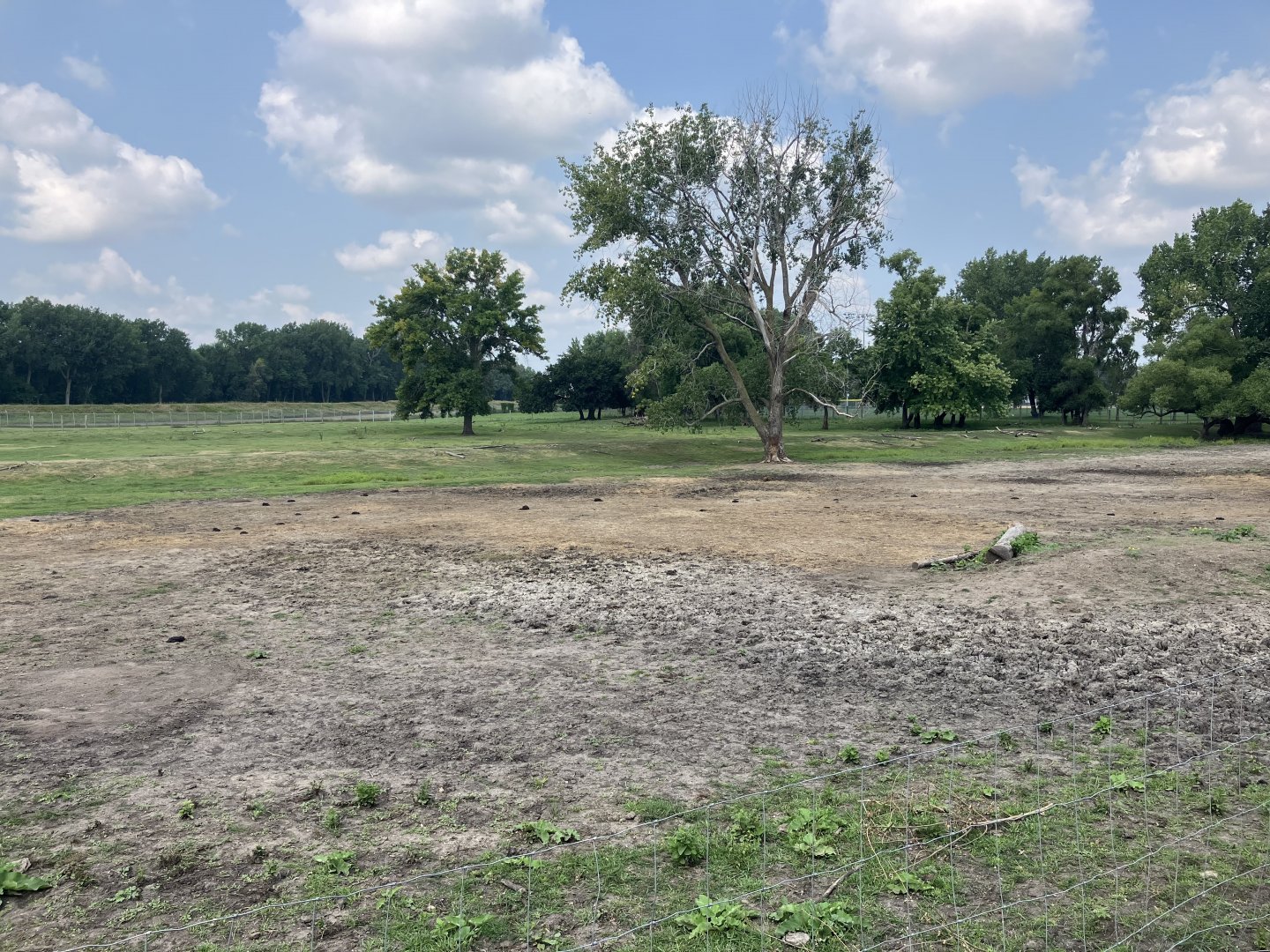 American Bison/Mule Deer/Sandhill Crane Exhibit