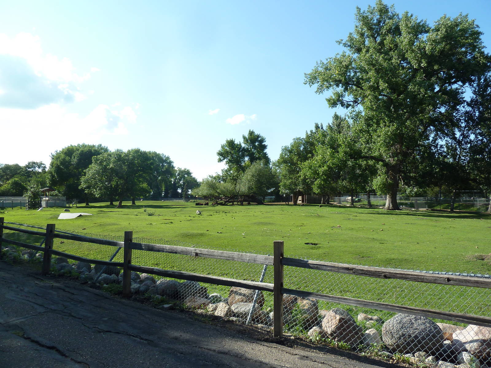 American Bison/Prairie Dog Exhibit