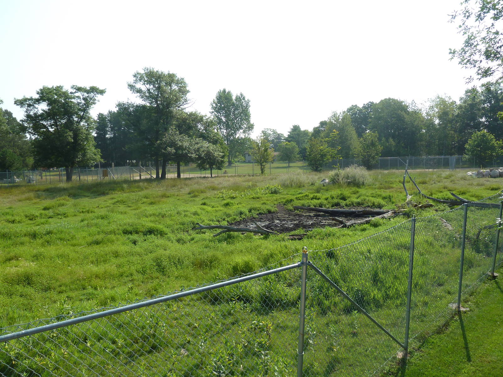 American Bison/Pronghorn Antelope Exhibit