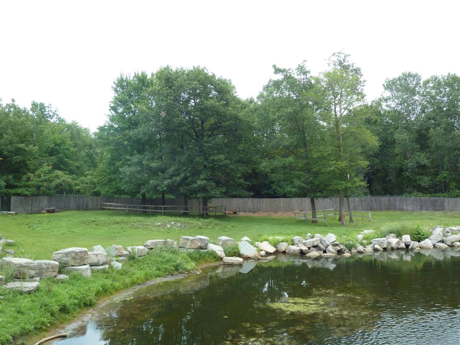 American Bison/Pronghorn Antelope Exhibit