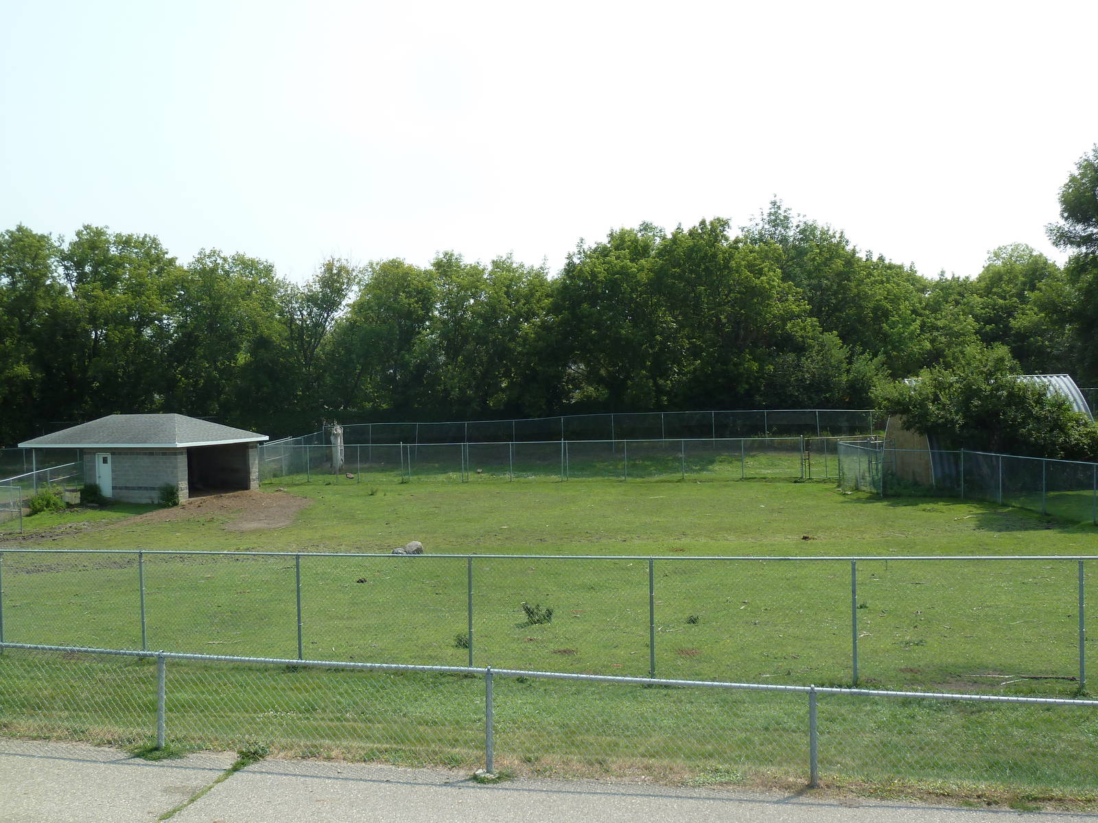 American Bison/Rocky Mountain Elk Exhibit