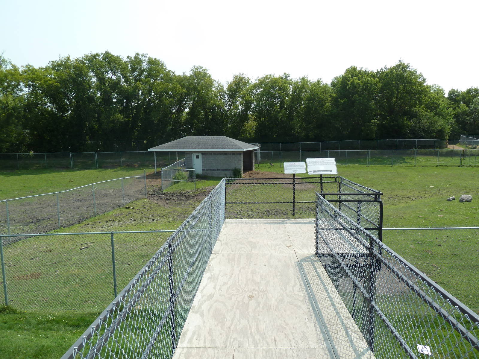 American Bison/Rocky Mountain Elk Exhibit