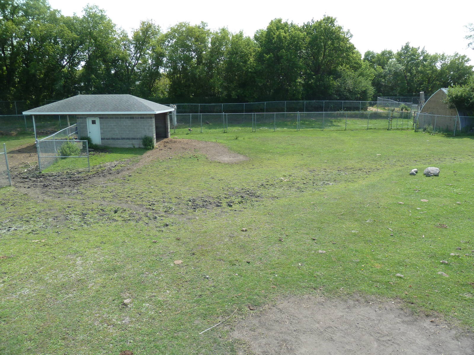 American Bison/Rocky Mountain Elk Exhibit
