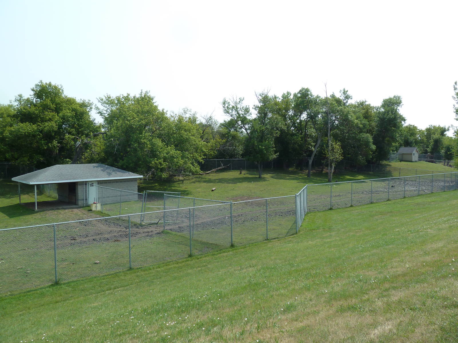 American Bison/Rocky Mountain Elk Exhibit