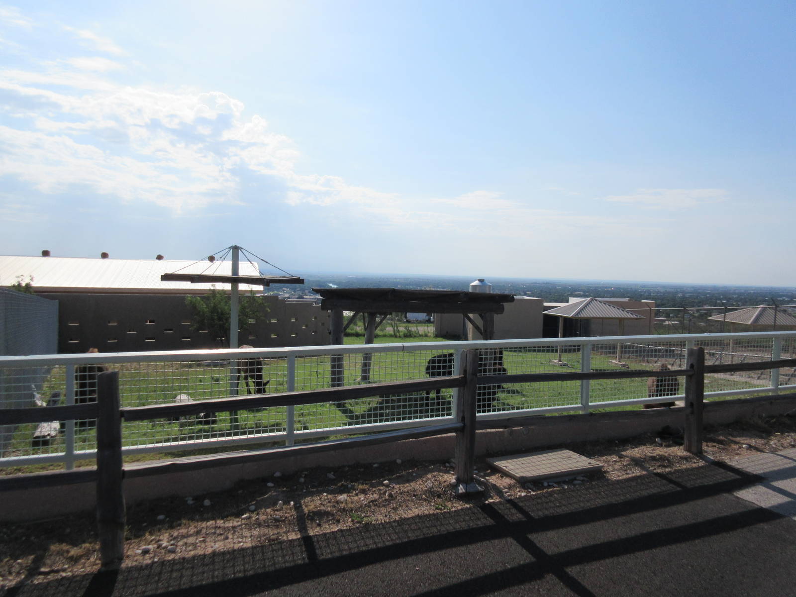 American Bison/Rocky Mountain Elk Exhibit