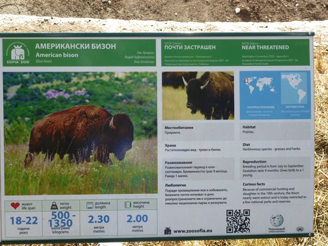 American bison sign 15.9.13