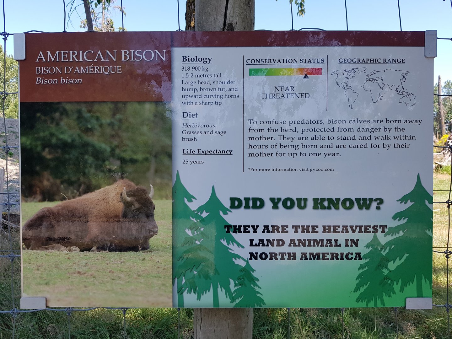 American Bison Sign