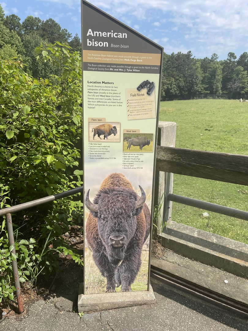 American Bison Signage