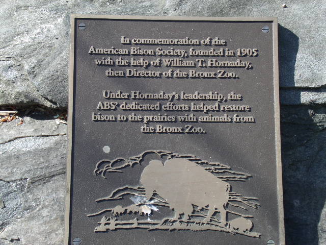 American Bison Society