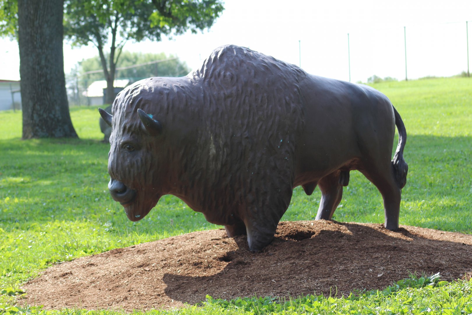 American Bison Statue