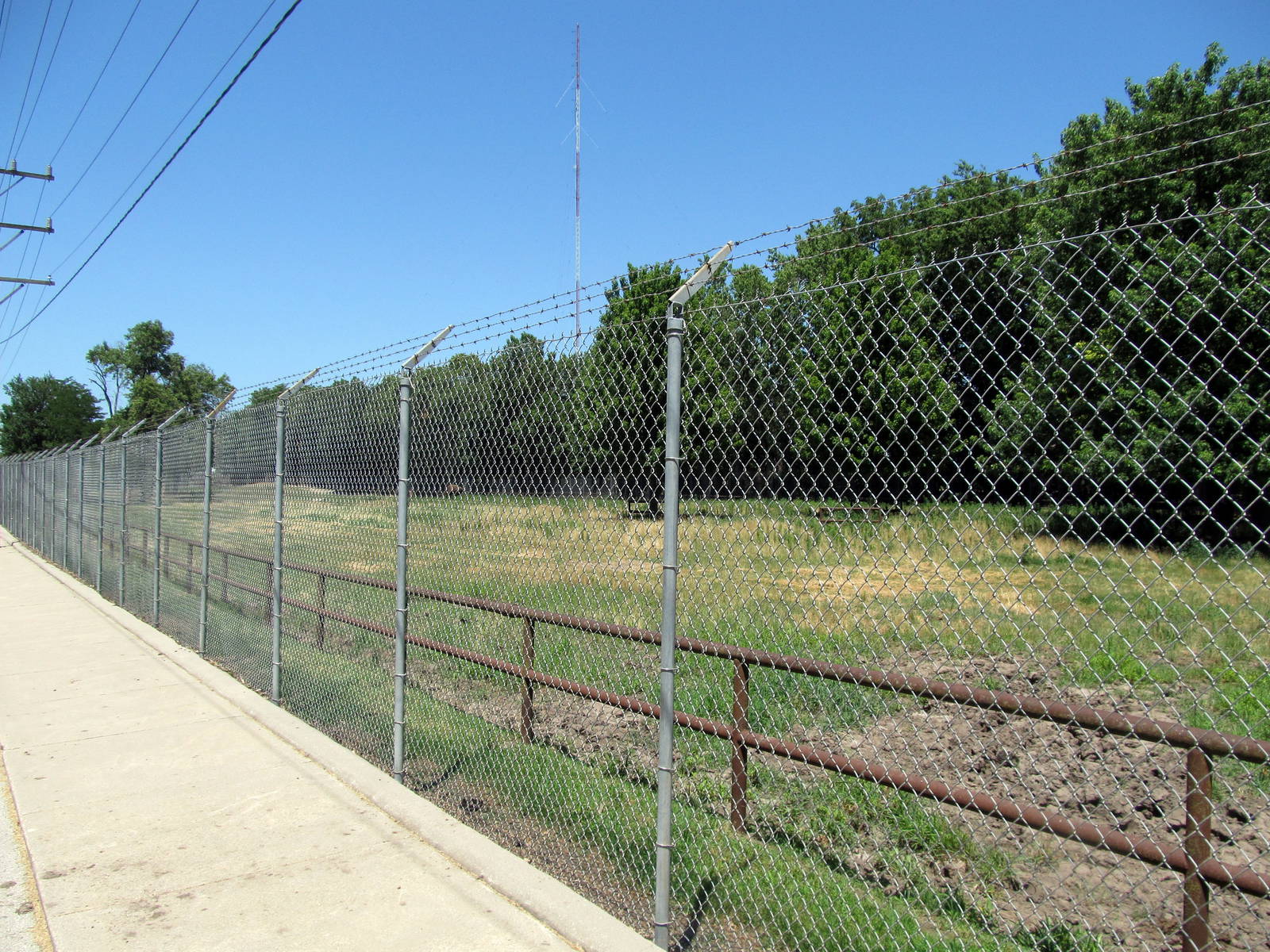 American Bison/Wild Turkey/Mule Deer Exhibit