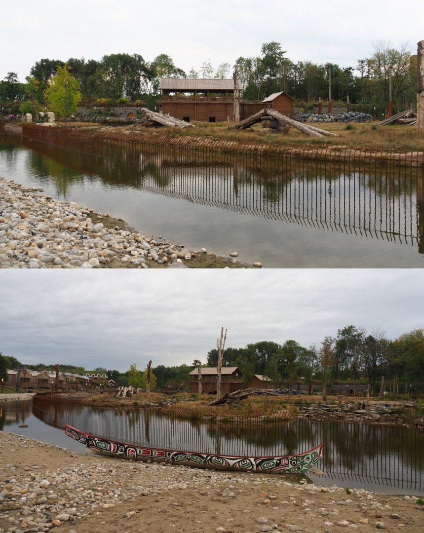 American black bear and Eurasian brown bear exhibit, 2020-09-02/03