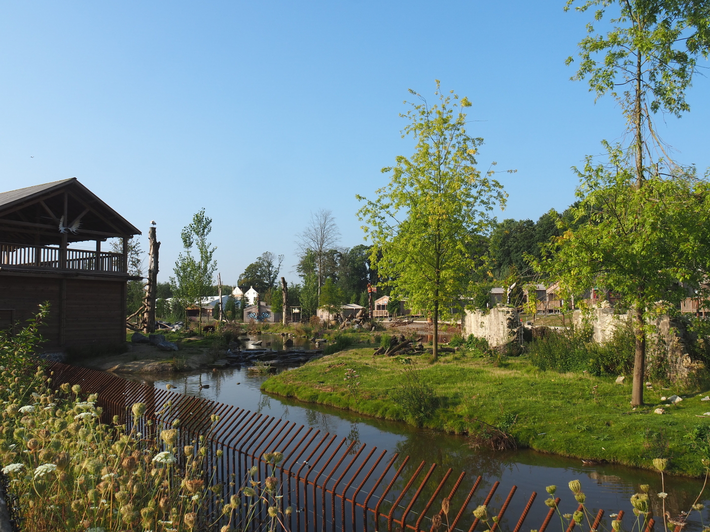 American black bear and Eurasian brown bear exhibit, 2021-09-02
