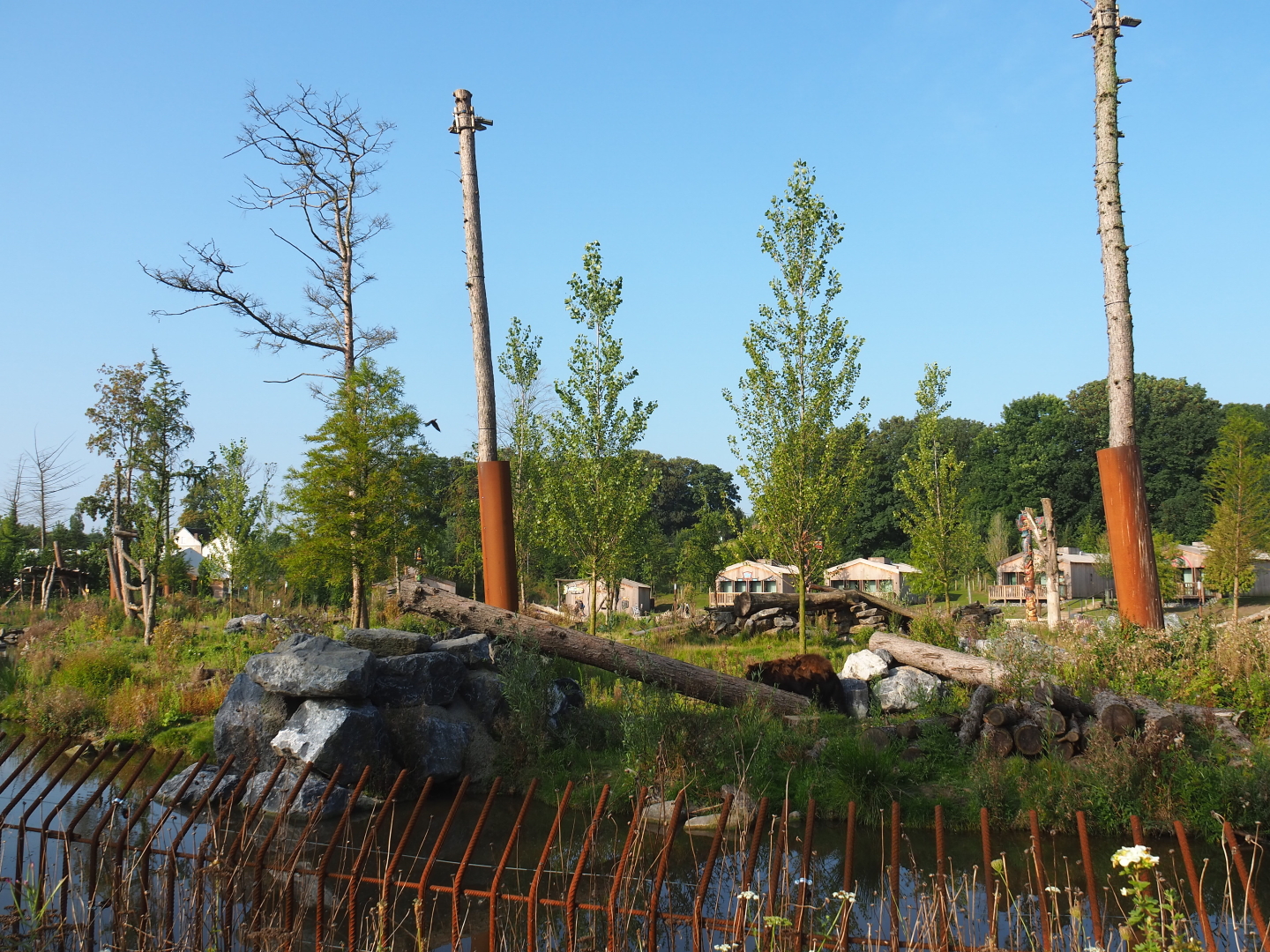 American black bear and Eurasian brown bear exhibit, 2021-09-02