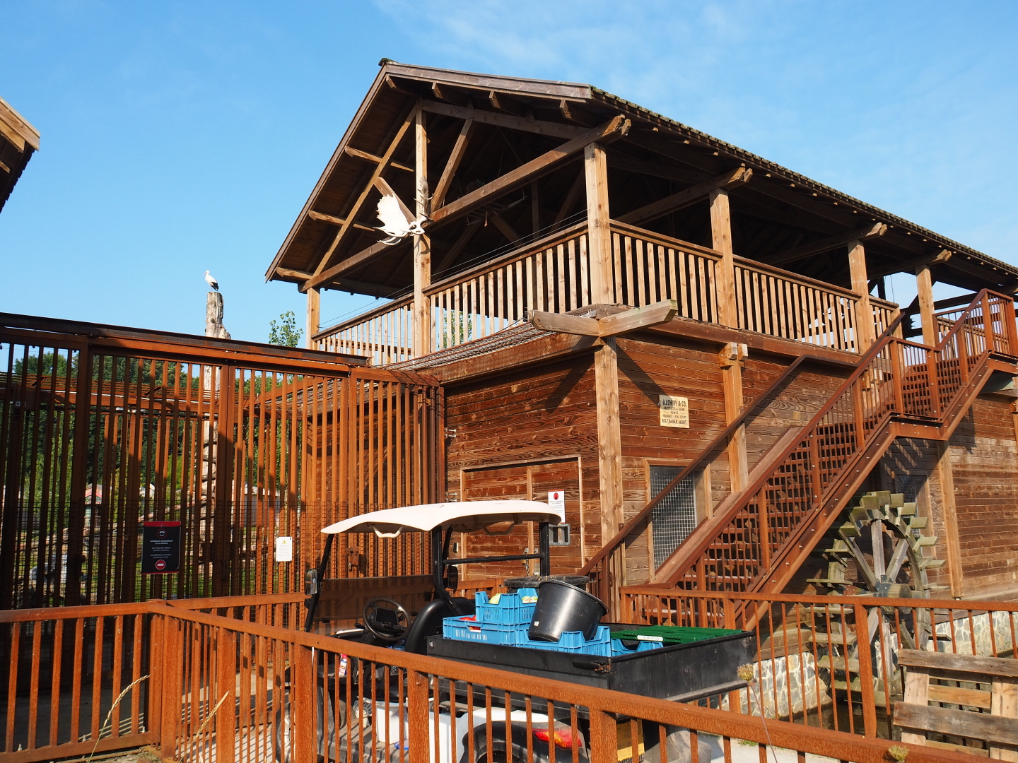 American black bear and Eurasian brown bear holding building and cage, 2021-09-02