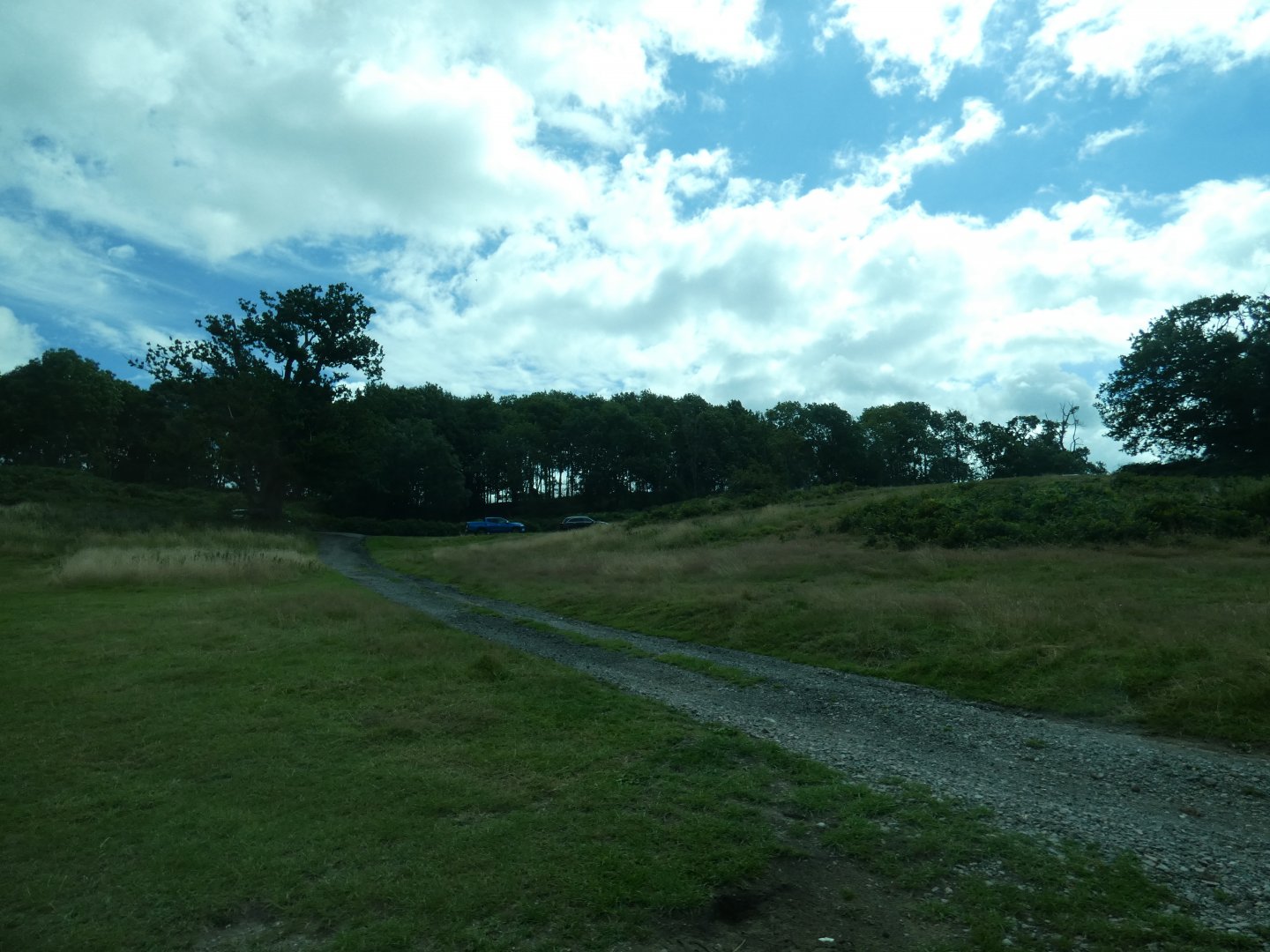 American Black Bear and Wolf drive-through enclosure