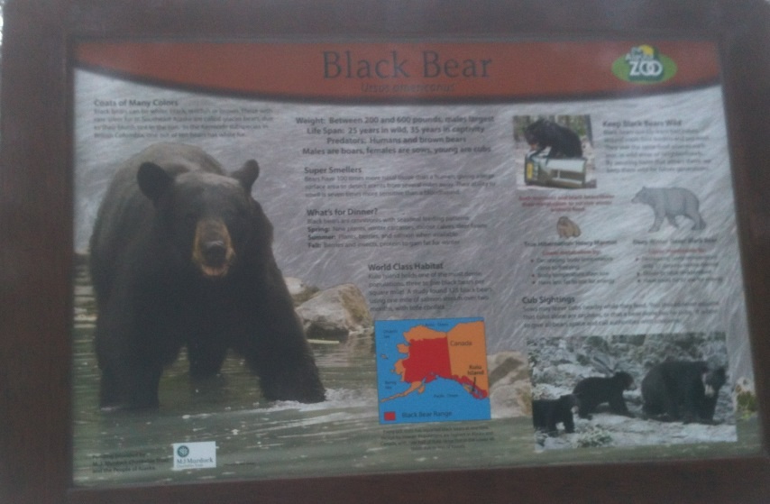 American Black Bear Educational Sign
