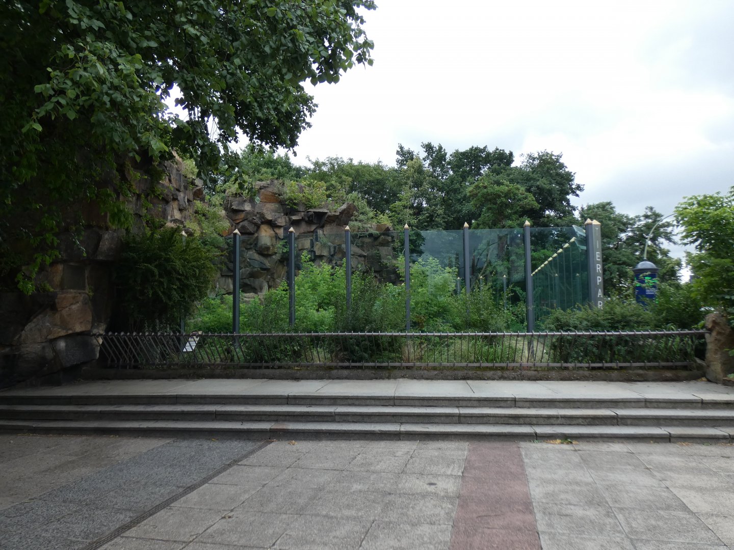 American Black Bear Enclosure