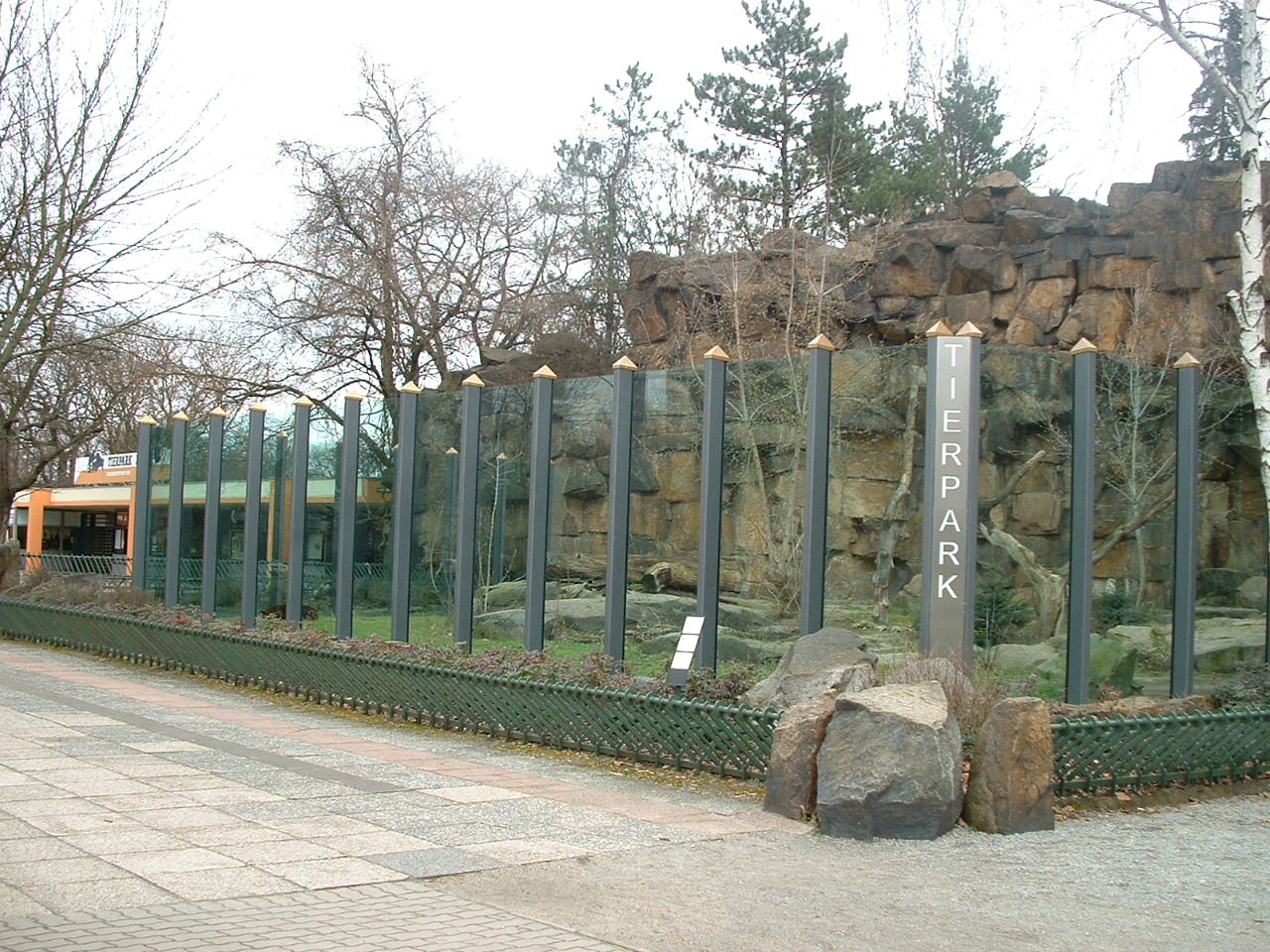 American Black Bear Enclosure