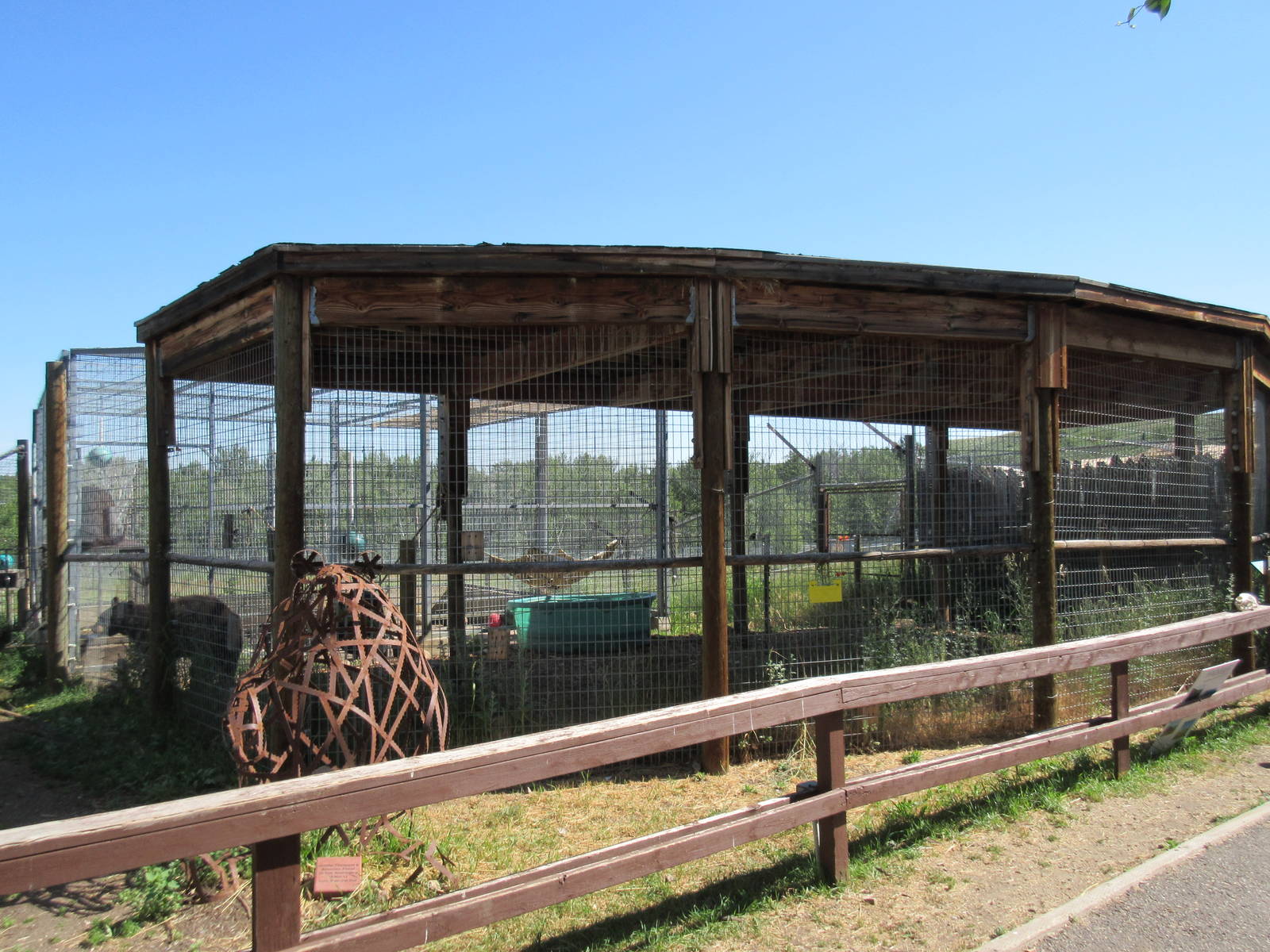 American Black Bear Exhibit #1