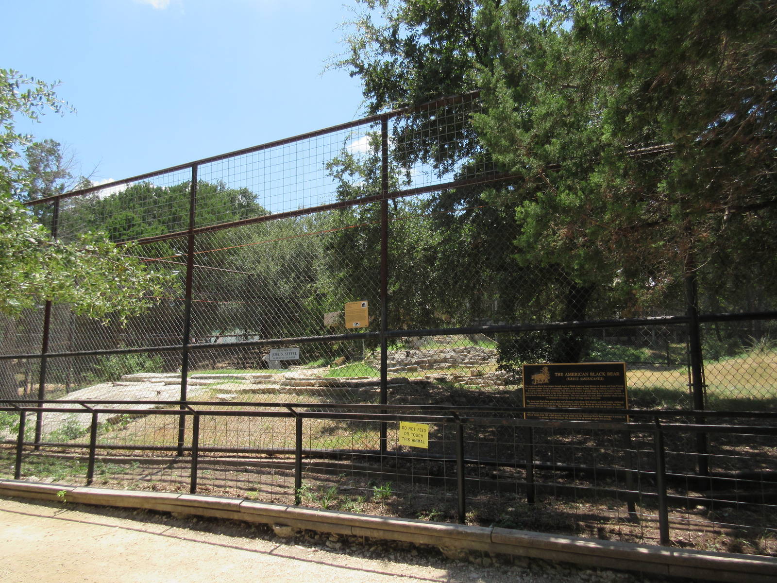 American Black Bear Exhibit #1