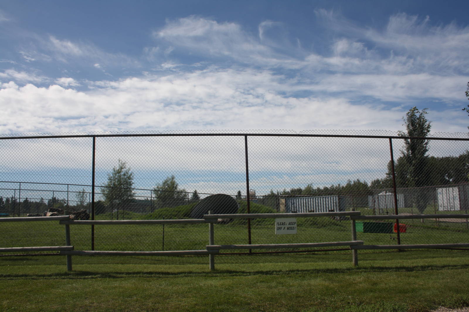 American Black Bear Exhibit #2