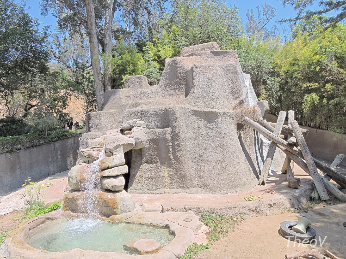 American black bear exhibit [2015]