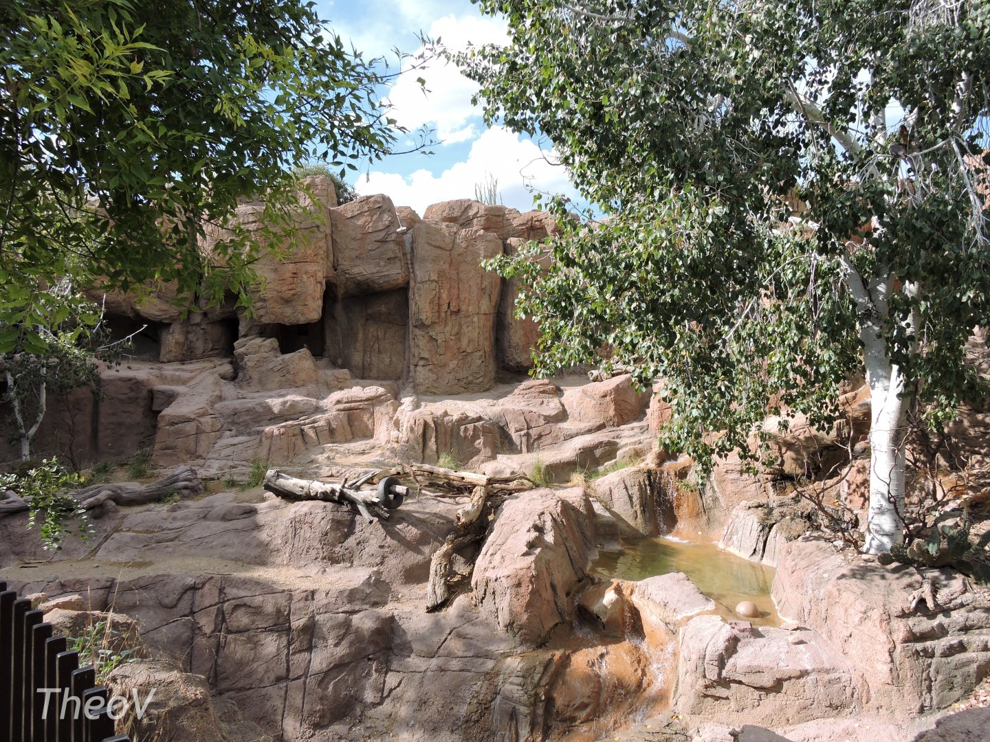 American black bear exhibit [2015]