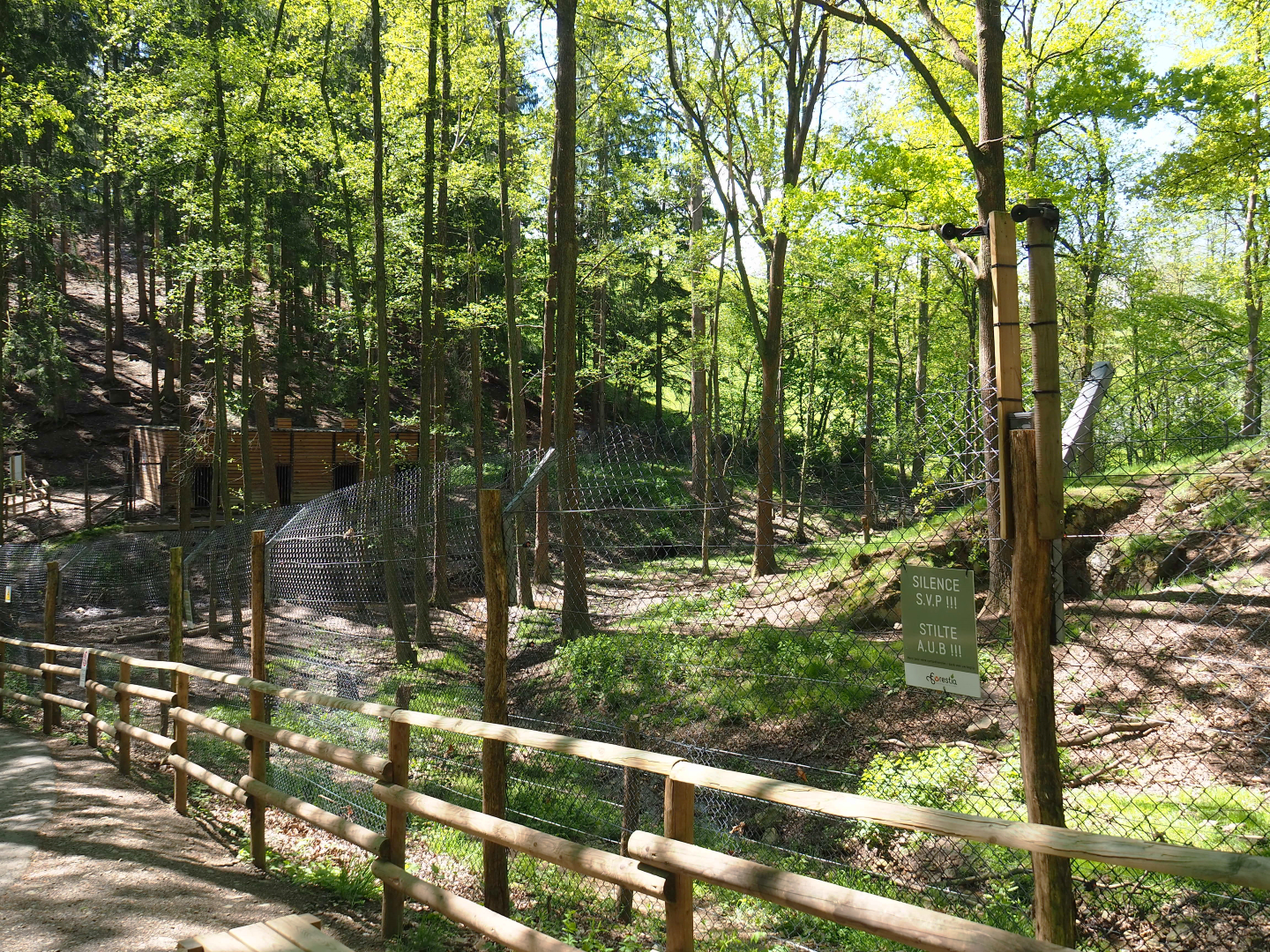 American black bear exhibit, 2021-05-29