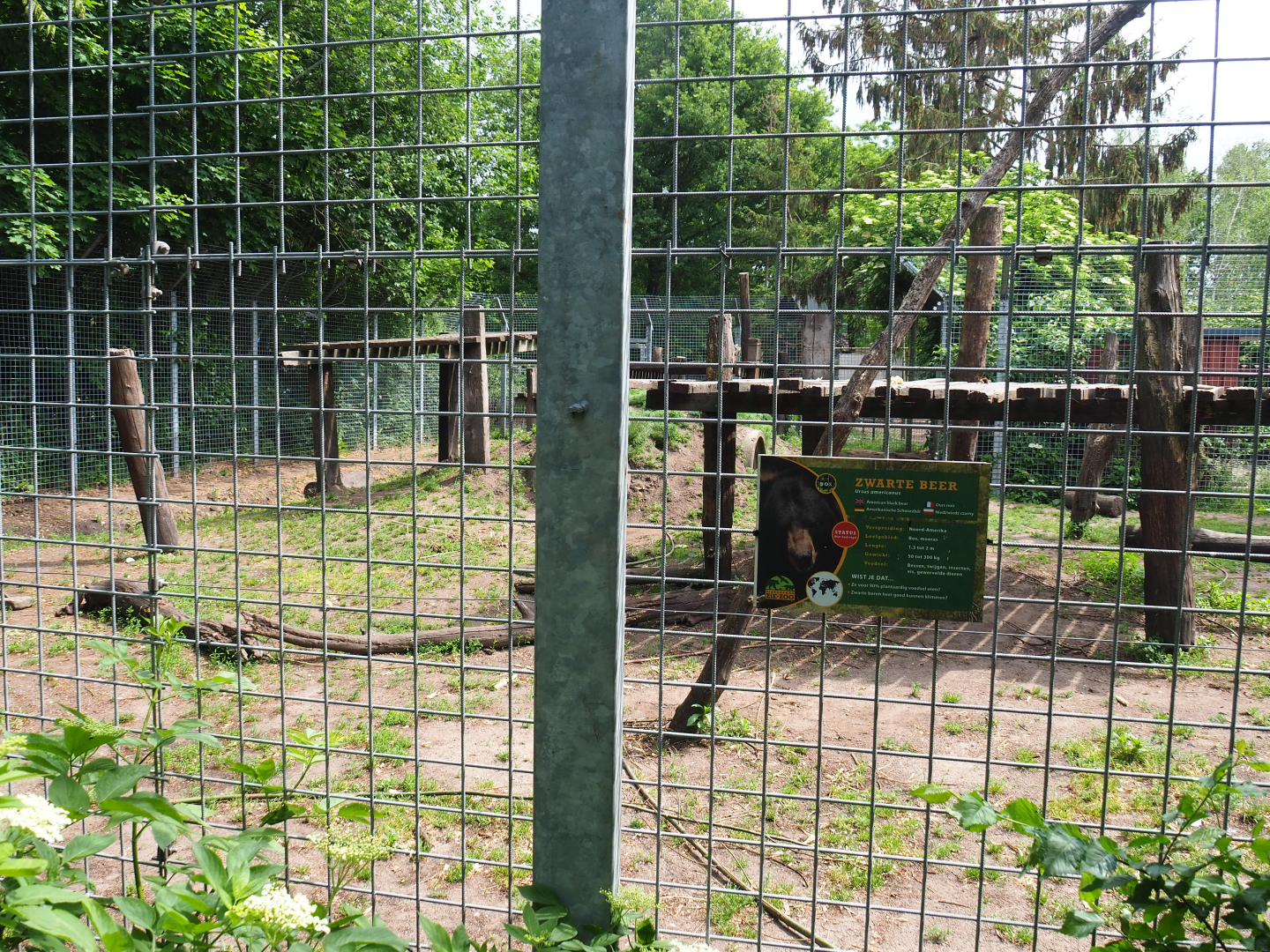 American black bear exhibit, 2022-05-17