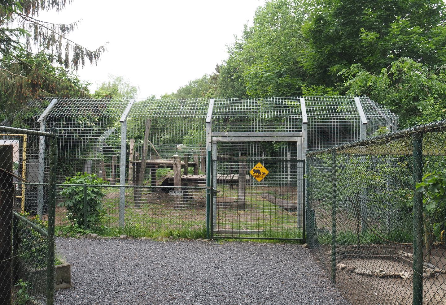 American black bear exhibit, 2022-05-17