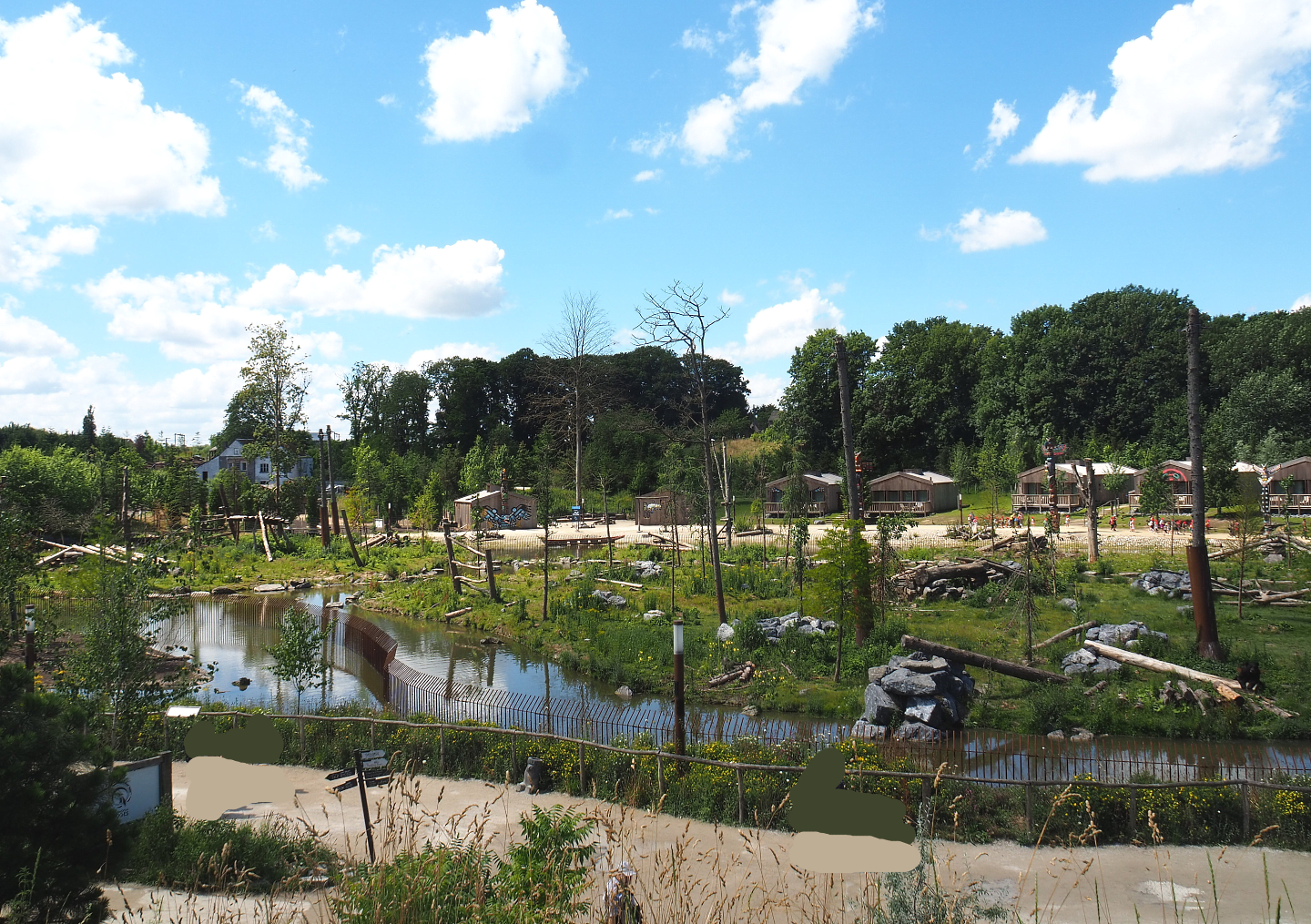 American black bear exhibit, 2022-06-28
