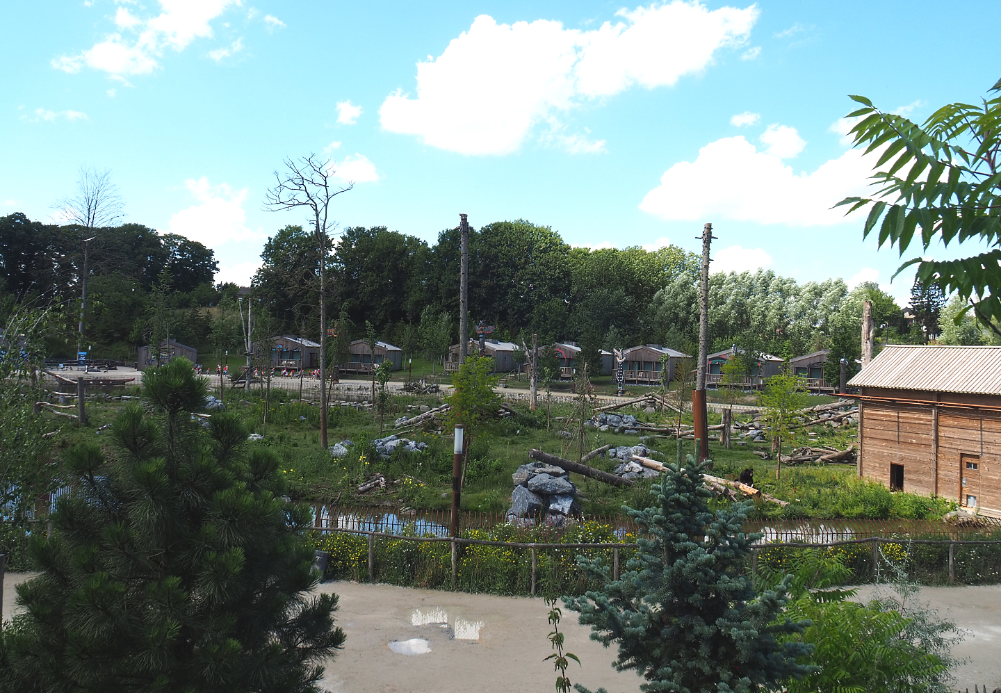 American black bear exhibit, 2022-06-28
