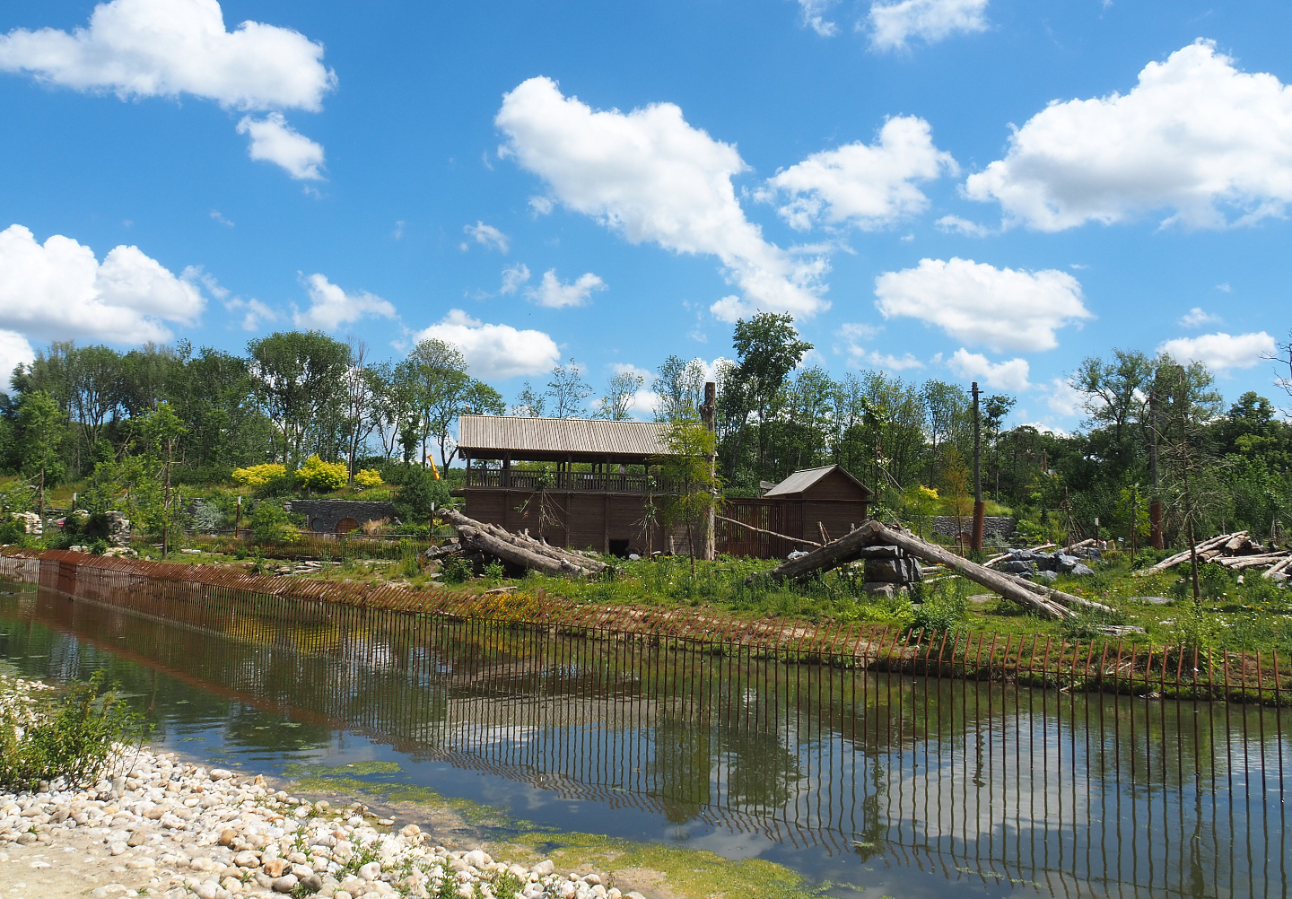 American black bear exhibit, 2022-06-28