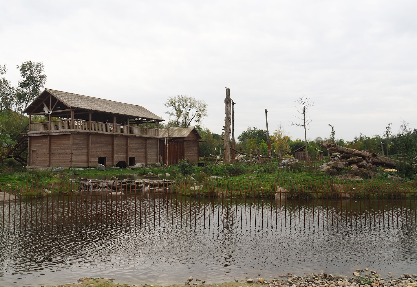 American black bear exhibit, 2023-10-13