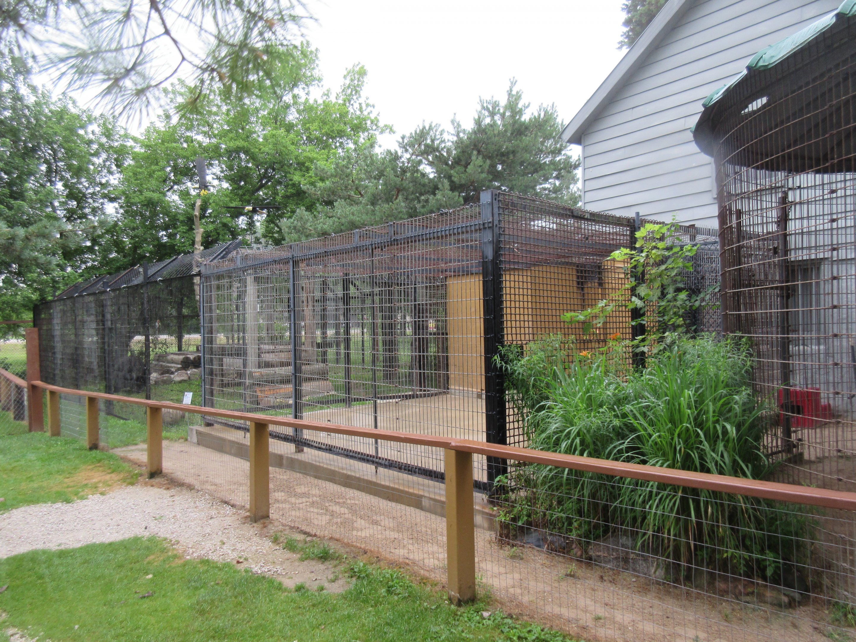 American Black Bear Exhibit (all 3 sections)