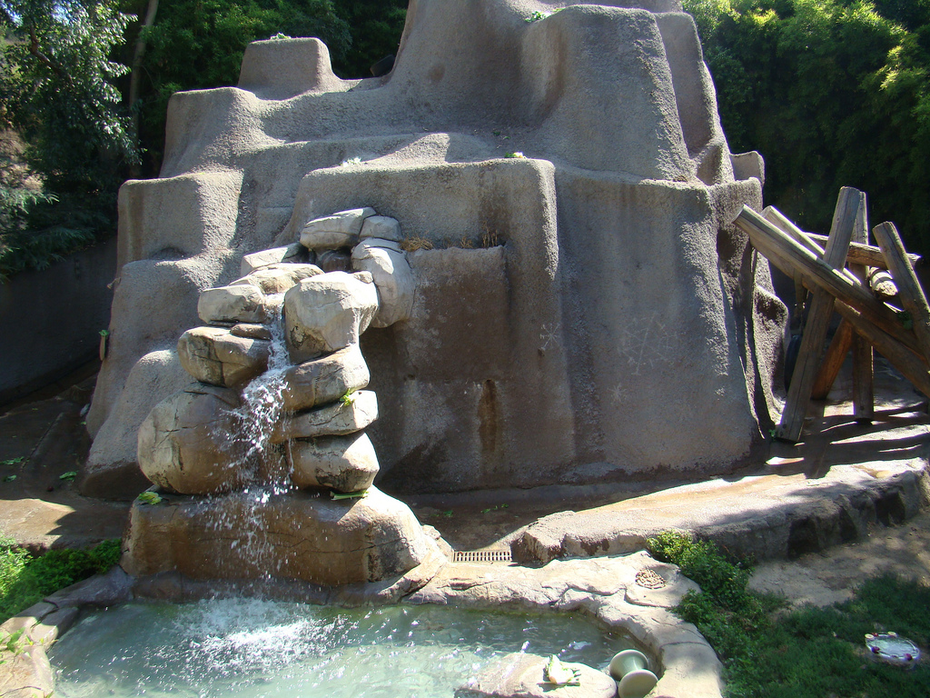 American Black Bear exhibit at the Los Angeles Zoo