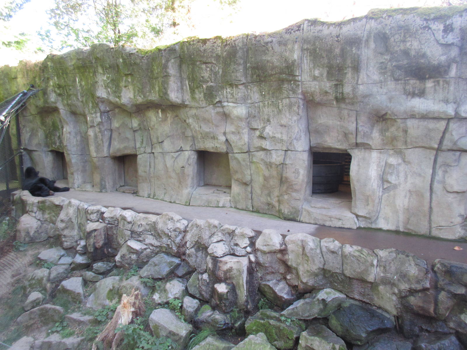 American Black Bear Exhibit (bear dens)