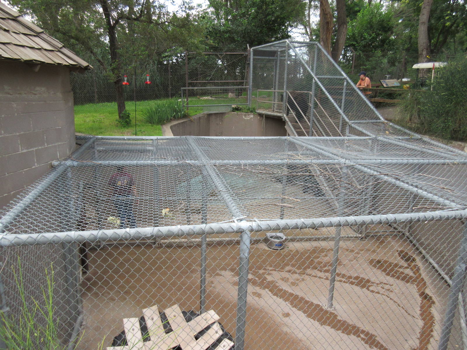 American Black Bear Exhibit - holding cage