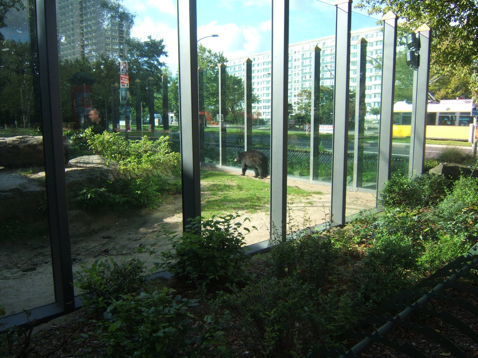 American Black Bear exhibit just outside the entrance