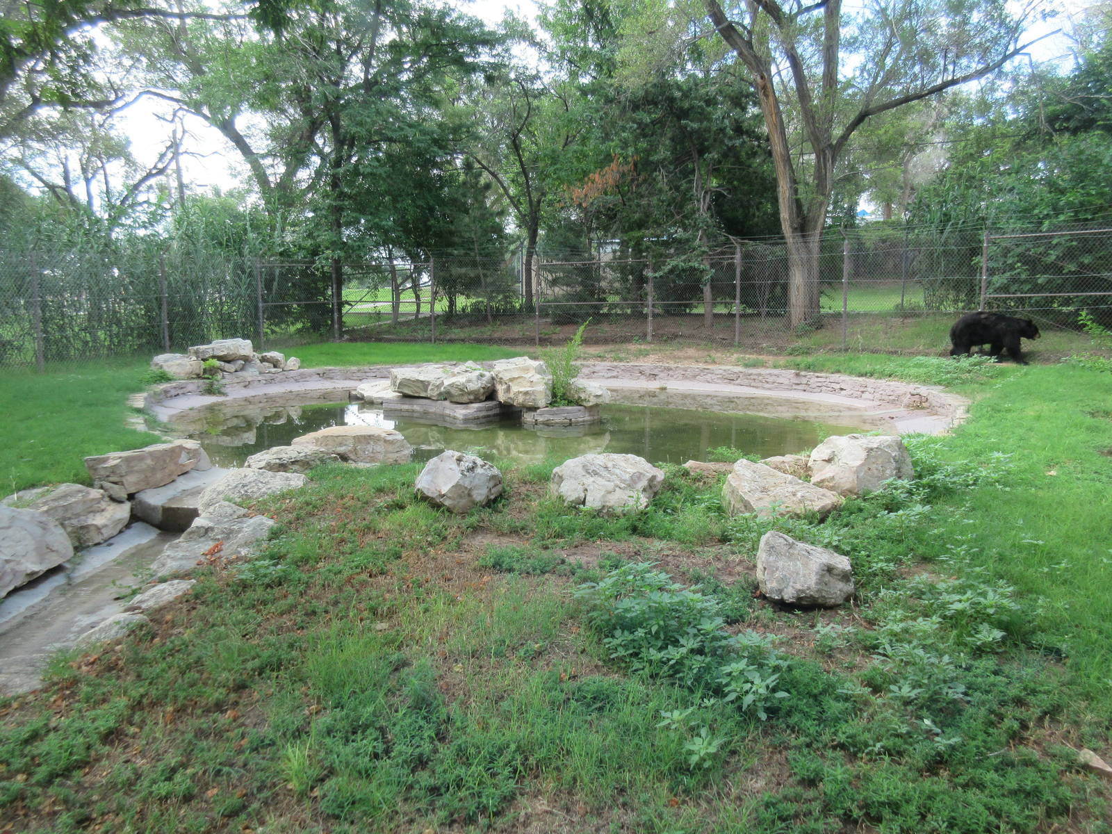 American Black Bear Exhibit (only half of the nice habitat)