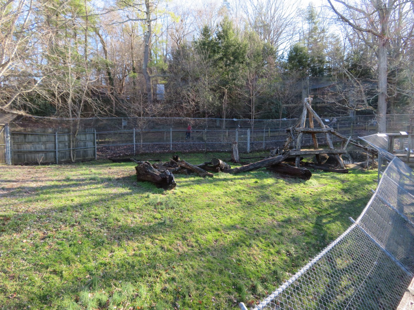 American Black Bear Exhibit (part)