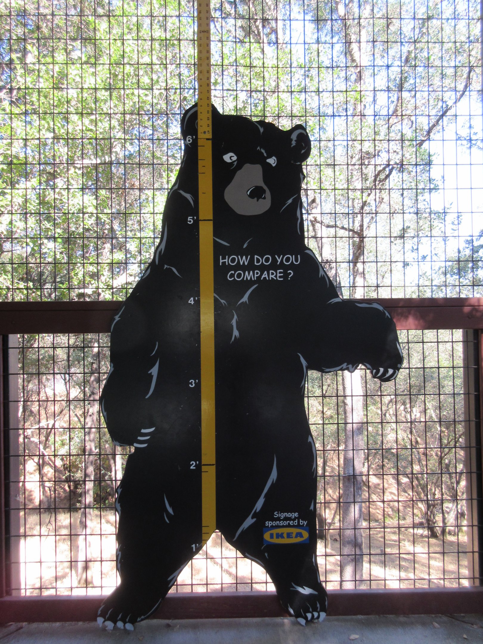 American Black Bear Exhibit - Sign