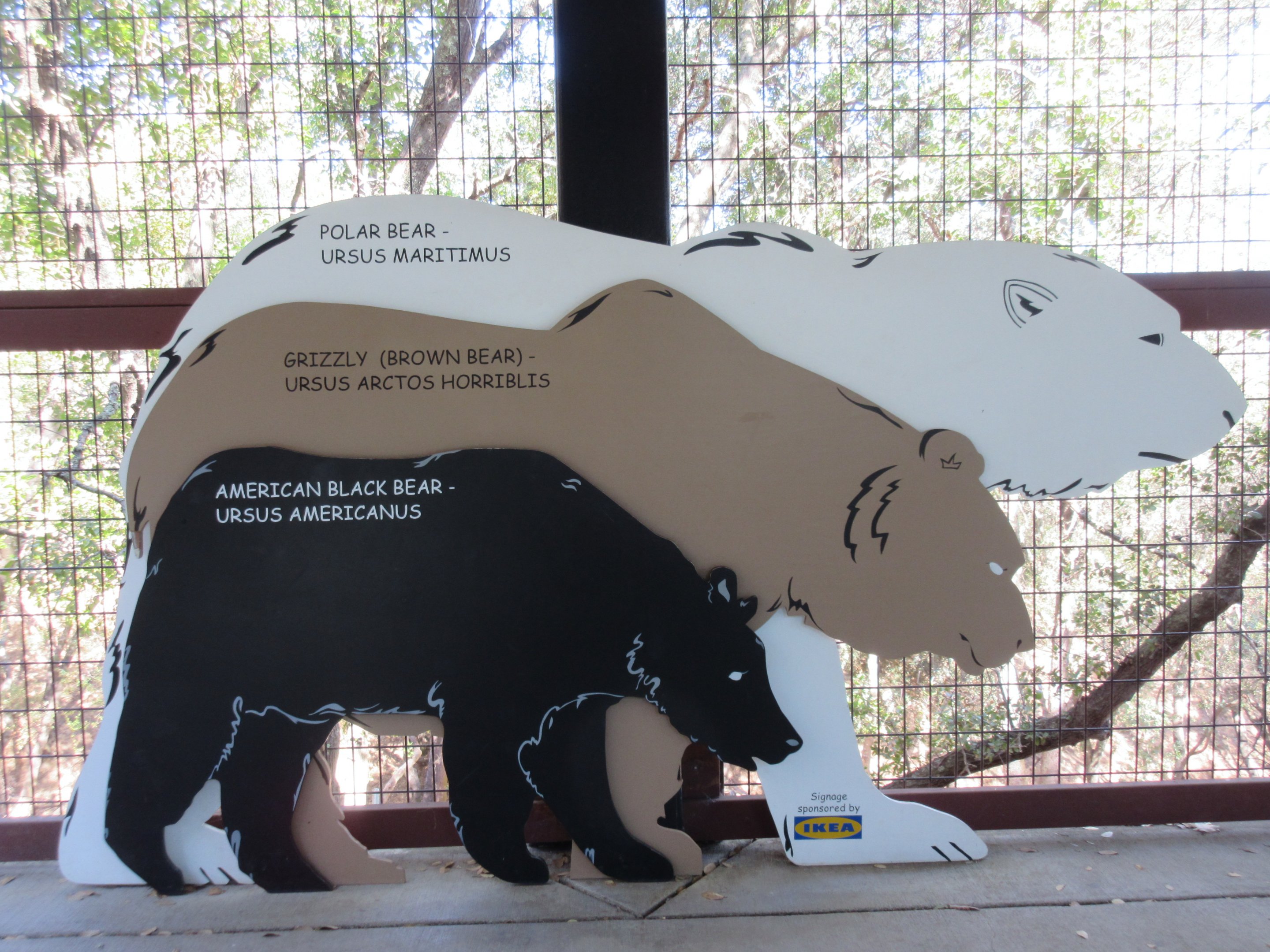 American Black Bear Exhibit - Sign