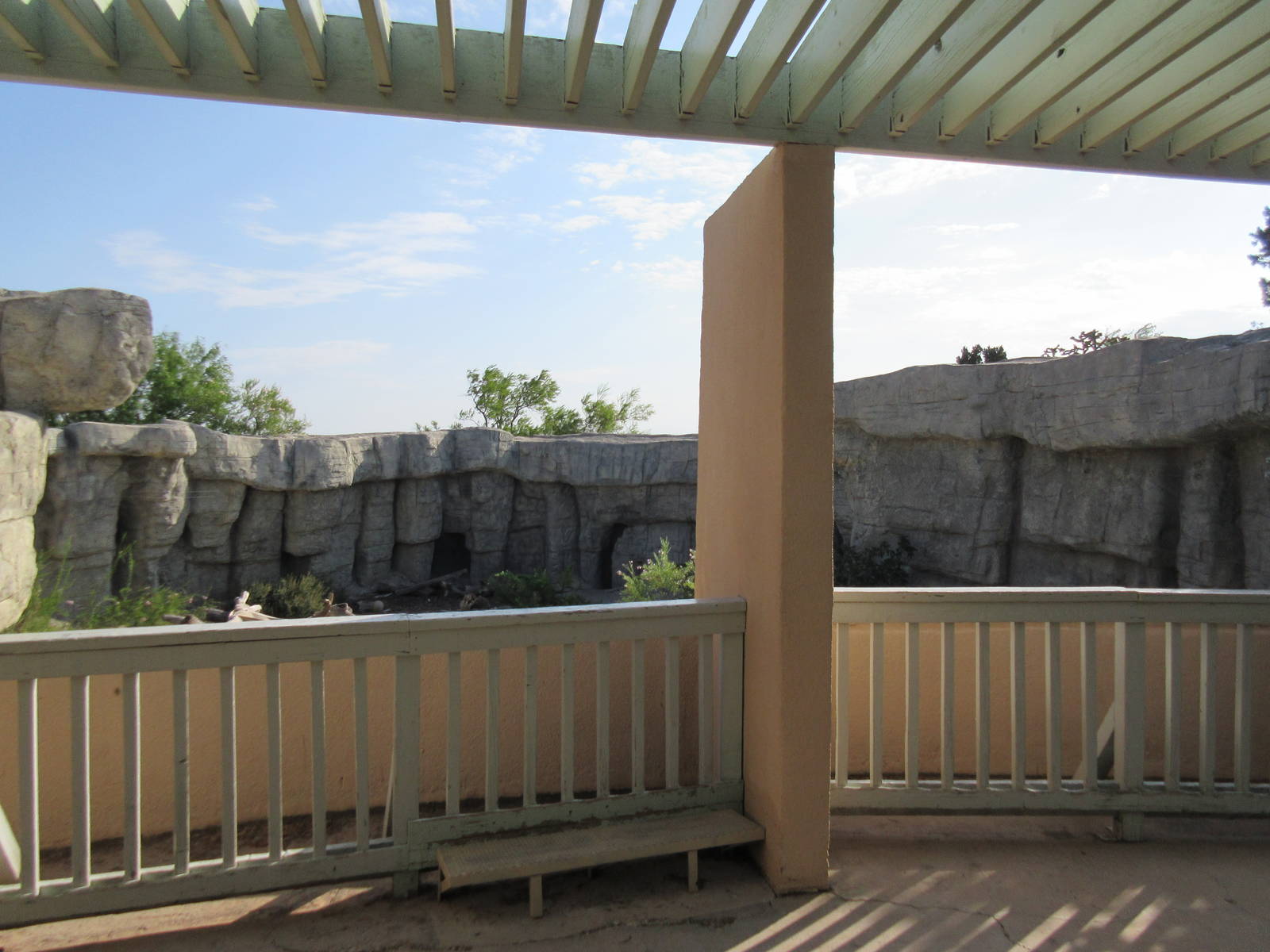 American Black Bear Exhibit - Viewing Area