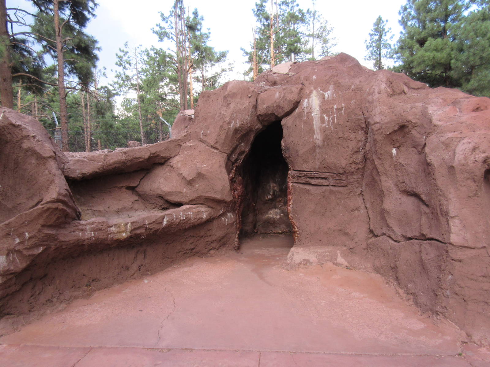 American Black Bear Exhibit - viewing cave for bear den